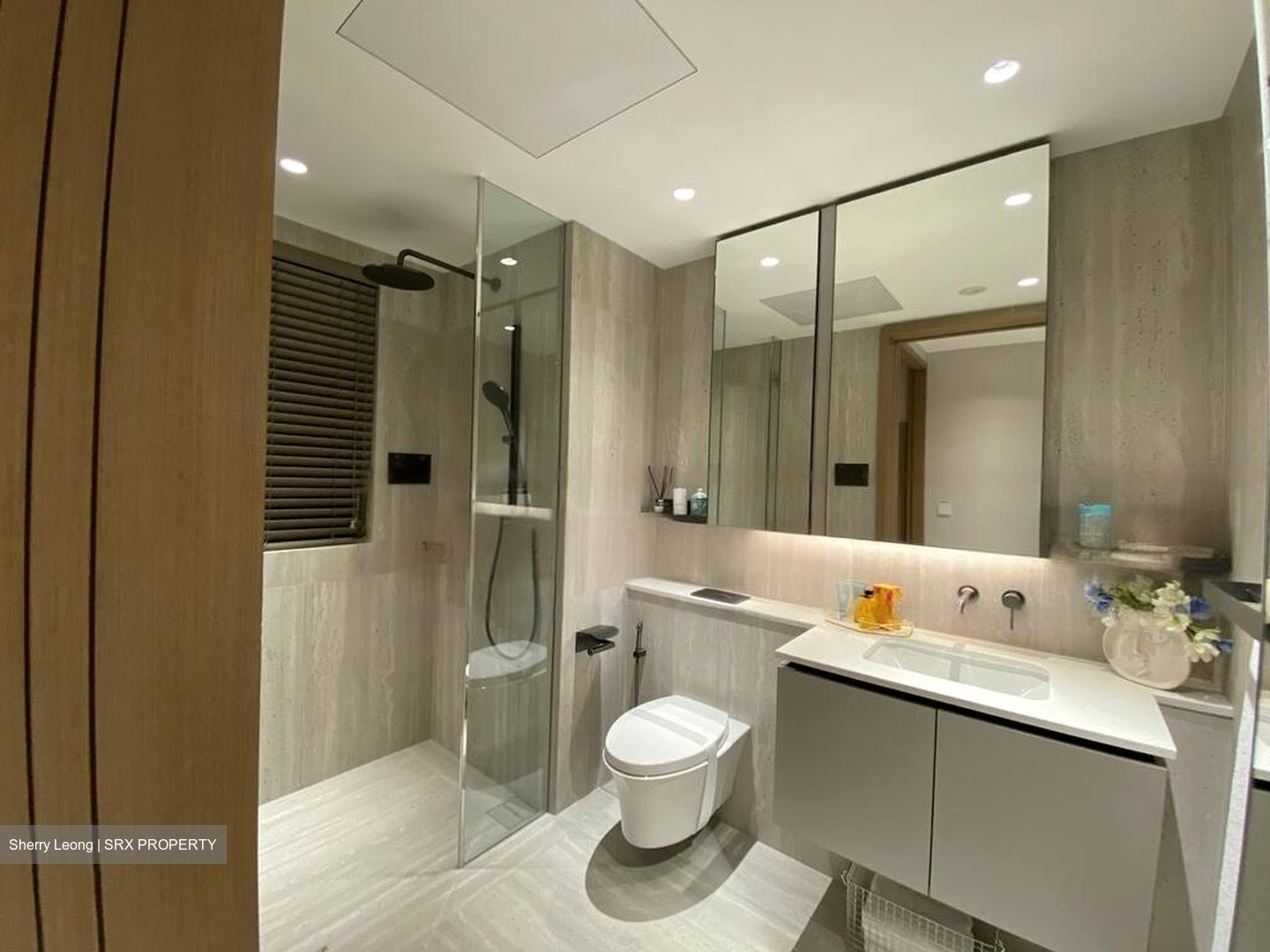 Bukit Timah Link (D21), Condominium #513117161
